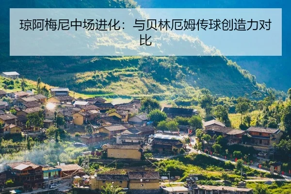 琼阿梅尼中场进化：与贝林厄姆传球创造力对比
