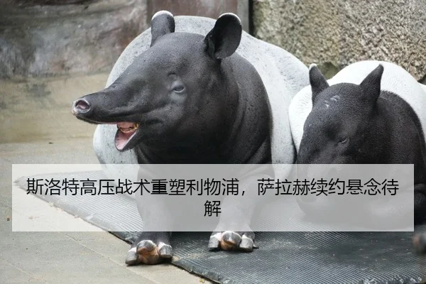 斯洛特高压战术重塑利物浦，萨拉赫续约悬念待解